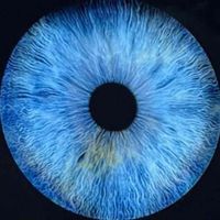 Jess Shaw profile picture