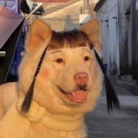 Claire McLoughlin profile picture