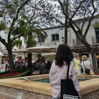 Talia Rosen profile picture