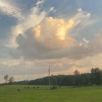 lana profile picture