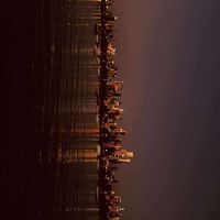 Shay profile picture