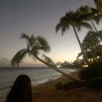 alana profile picture