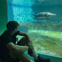 Bruno Duks profile picture