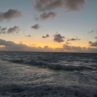 Nadine profile picture