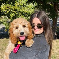 Sarah Stein profile picture