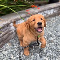 Jamie Knott profile picture