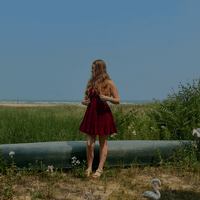 aidyn timm profile picture