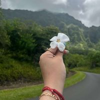 Emme profile picture