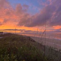 Emma profile picture