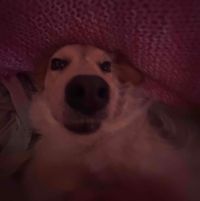 cady k profile picture