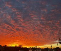 SMari profile picture