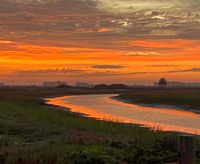 SMari profile picture