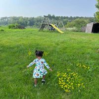 Grace Rexroad profile picture