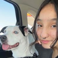 daisy becerra profile picture