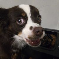 Emerald Rhodes profile picture