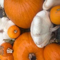 Emma Hendrickson profile picture