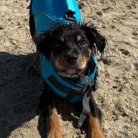 Gamma May profile picture