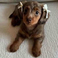 Nat ✨ profile picture