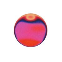 Leila Mariette profile picture