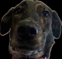 Celeste R profile picture