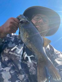 Jeremy Hawkins profile picture