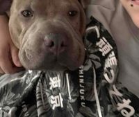 Blake profile picture