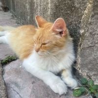 Annie profile picture