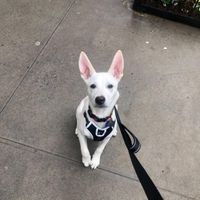 Courtney profile picture