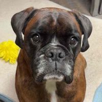 Tracey profile picture