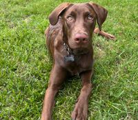 Marley Custer profile picture