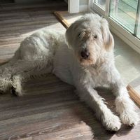 Diane Kinney profile picture