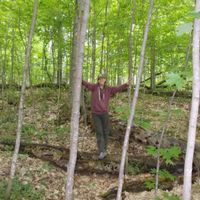 Arwen profile picture