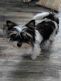 Lorilyn Shirley profile picture