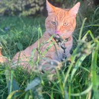 Tiarrah profile picture