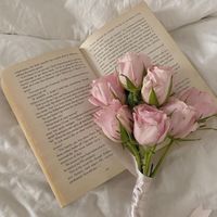 Iman Nagi profile picture