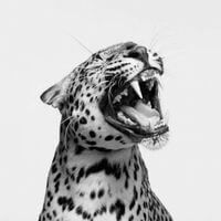 Tia profile picture