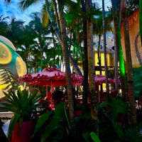 Dalia A profile picture