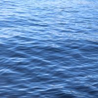 TC profile picture