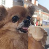 Mia-rose Hunt profile picture