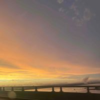 Sophia Zhuo profile picture