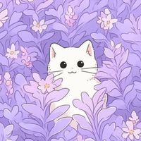 Nađa profile picture