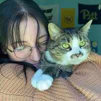 Olivia Alfe profile picture