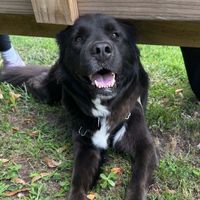 Olivia Schwab profile picture