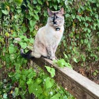 Candace profile picture