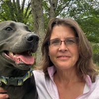 Pam Fournier profile picture