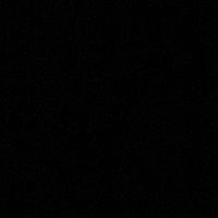 Vasiljevic Lena profile picture