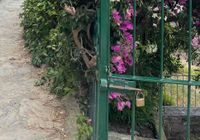 Lisa Ker profile picture