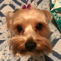 Tammy Adkins Robinson profile picture