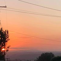 Tiffany N. profile picture