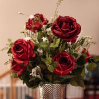 Cat's Meow profile picture